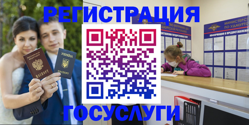 прописка поиск в Белгородской области